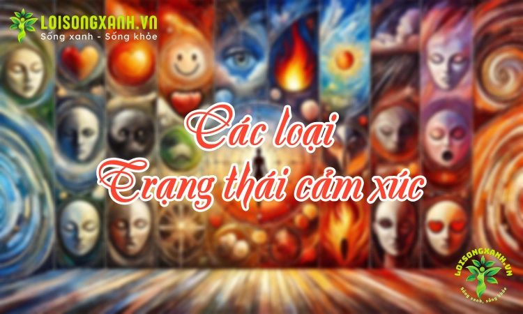 Các loại cảm xúc của con người - Hình ảnh minh họa